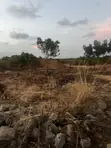 Full Plot for Sale at Ashaley Botwe Lakeside Estate - 3