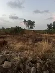 Full Plot for Sale at Ashaley Botwe Lakeside Estate - 4