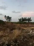 Full Plot for Sale at Ashaley Botwe Lakeside Estate - 5