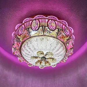 Hostels Student Ceiling Light - 3 Color RGB LED