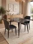 Brown Marble Vein 4 Seater Dining Chairs - 4