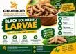 Dried Black Soldier Fly Larvae - Premium Protein Feed - 2