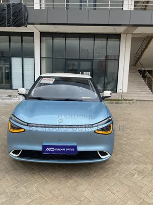 New Dongfeng Nammi 01 2025 Electric Hatchback