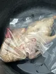 Dressed Duck for Sale - 1