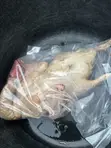 Dressed Duck for Sale - 3