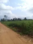 2,500 Acres Land for Sale - Upper West Akim - 3