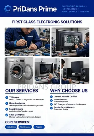 Electronic Installation & Repair Services