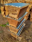 Brand New Bee Hives for Honey Production - 1