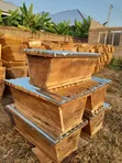 Brand New Bee Hives for Honey Production - 2