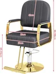Hydraulic Salon Barber Chair (Lfy-59-13) - 5