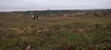 Genuine Residential Plot for Sale at Ojobi, Kasoa-Winneba Road - 2