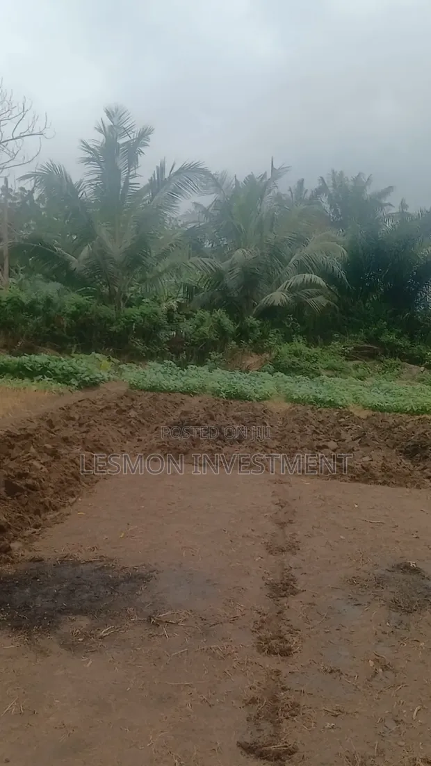 3 Plots for Sale at Airport Residential Area - 1