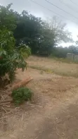 3 Plots for Sale at Airport Residential Area - 4