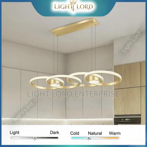 Nairobi Decor LED Dropping Light - Black/Gold - 1