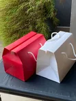 Paper Bags Printing Services - 5