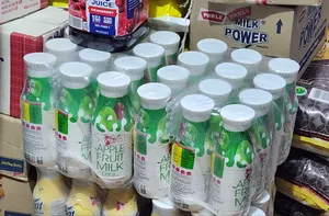 Apple Fruit Milk 12 Pack