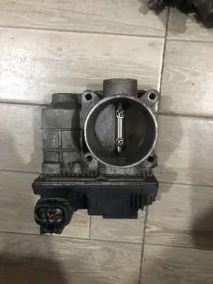 Nissan Sentra Throttle Body