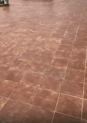 Palem Cleaning Services: Terra-Cotta Floor Cleaning
