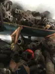 Exhaust Pipes and Converters for Toyota Corolla - 2