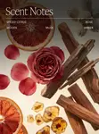 Dried Bloom Berlin Girl Aromatherapy Candle - 2