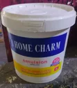 Home Charm Emulsion Paint - 4 Litres - 1