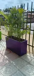 Flower Pot - 1