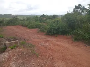 3 Plots Documented Land for Sale at Oguaakrom