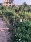 Double Plot of Land for Sale in Ahodwo, Kumasi - 3