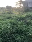 Double Plot of Land for Sale in Ahodwo, Kumasi - 4