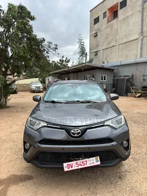 Toyota RAV4 LE AWD 2017 Gray