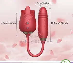 Rose Vibrator with Two Heads