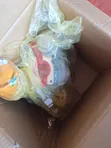Acura RDX / Honda Accord 2.0 Turbo Parts - 1