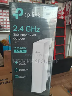 TP-Link CPE220 Outdoor Access Point