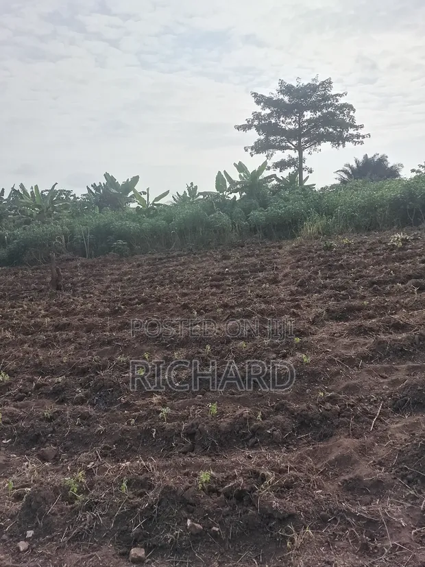 Land for Sale in Pokuase - 1