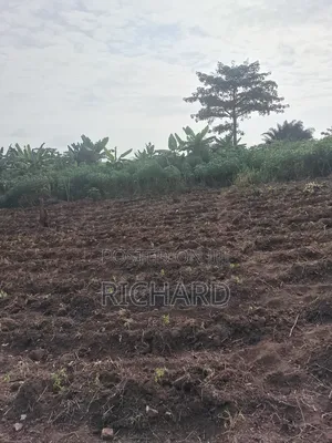 Land for Sale in Pokuase