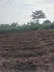 Land for Sale in Pokuase - 1