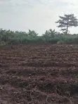 Land for Sale in Pokuase - 2