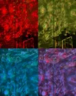 Ocean Waves Multi-Color Projector - 3