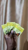 Chamomile Herbal Tea - 100 Bags - 3