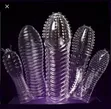 Rough Condoms for Enhanced Pleasure - 1