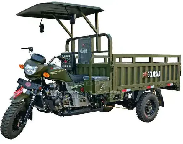 Brand New Three-Wheeler Motorcycle 2025 - 1