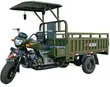 Brand New Three-Wheeler Motorcycle 2025 - 1