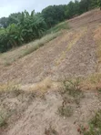 Land for Sale - Airport Residential Area - 4