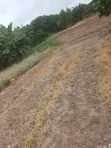Land for Sale - Airport Residential Area - 5