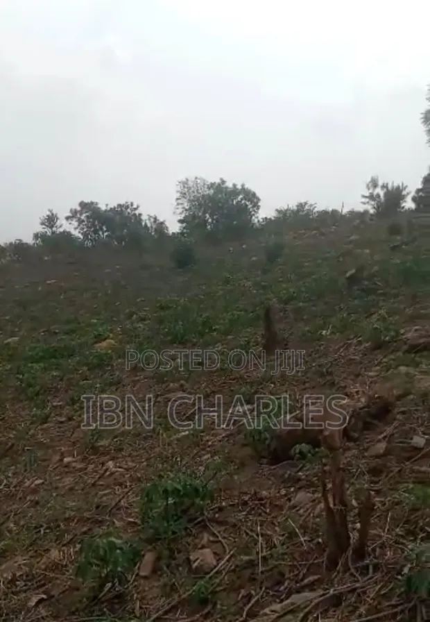 Residential Land for Sale in Dodowa Ayikuma - 1