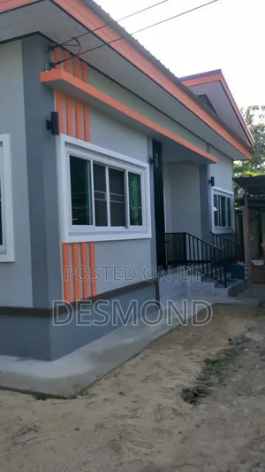 Professional House Painting & Interior Decoration
