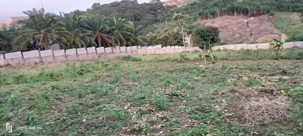 4 Plots at Peduase - 1