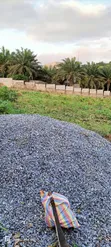 4 Plots at Peduase - 2