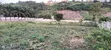 4 Plots at Peduase - 3