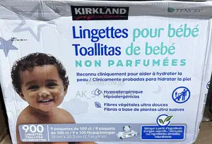 Kirkland Wet Wipes
